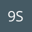 916-ss