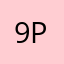 95 PP