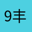 9RR 丰