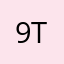 9TsPunisher