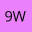 9WGLN068
