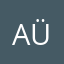 A. Ü