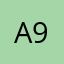 A91*