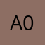 ACMS 04