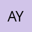 ASD Specialist (Sin Yee)