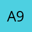 Action jackson 999