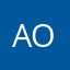 Ang o1