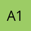 Asli-11