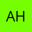 Austin Duck Hunter