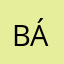 Bábus