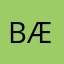 Bæ6921