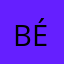 Bépalétiridoïsidationgévisme