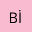 Büşra İşleyen