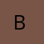 B iS hi