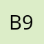 B-Reviewer-9