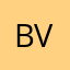 B.Varli