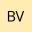 B.mulla___
