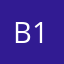 B13™