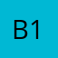 B1965