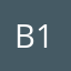 B1Ake.