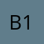 B1H0N