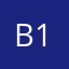 B1RONG