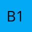 B1b12