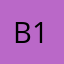 B1md