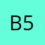 B5rn1r4o