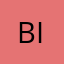 BAY INVESTMENT