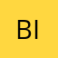 BBG INC