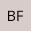 BF暴风丶