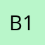BGD-13H