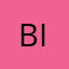 BI&Analytics