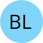 BM Security Ltd Logo