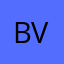 BMG viagens