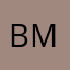 BMH1