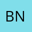 BN440