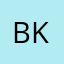 BO$$ kritik