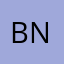 BS nagar