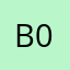 BSR 0504