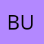 BUGSY.Q21