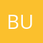 BUZMAVİSİ