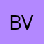 BVbyShe