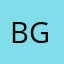 BWS-Gruppe Logo