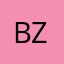 BZinTexas