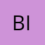 B_bri_