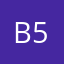 Badapp 55