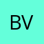 Balakrishnan V