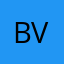 Ball vaster